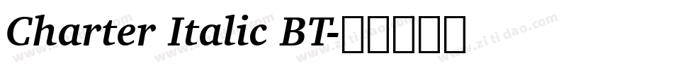 Charter Italic BT字体转换